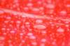 dsc_65922_small.jpg